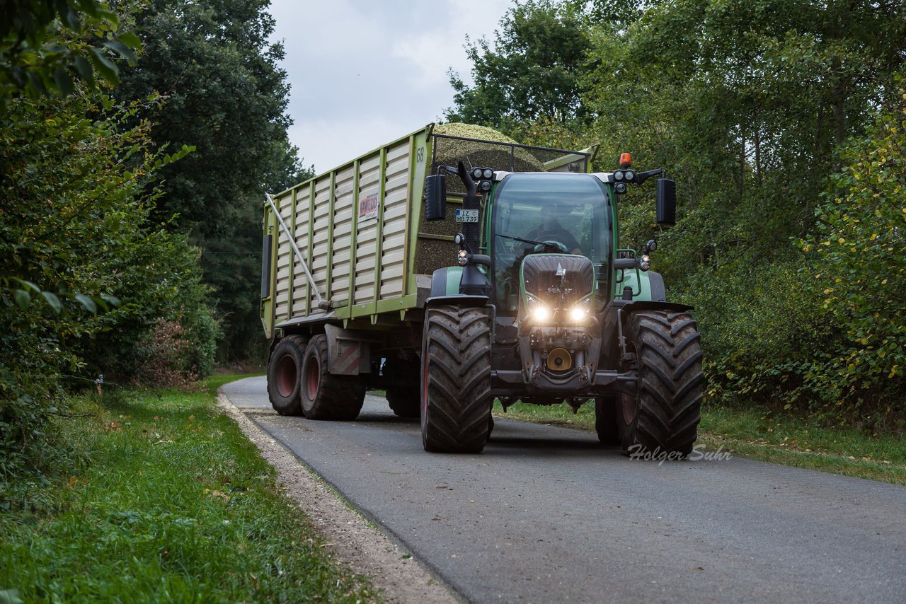 Bild 226 - Maisernte